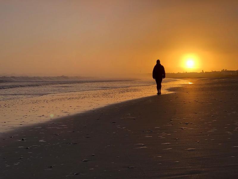 0 Bedroom Property for Sale in Duyker Eiland Western Cape